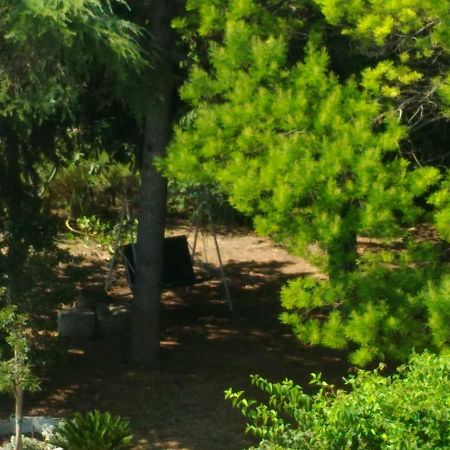 Paestum House Bed & Breakfast ภายนอก รูปภาพ